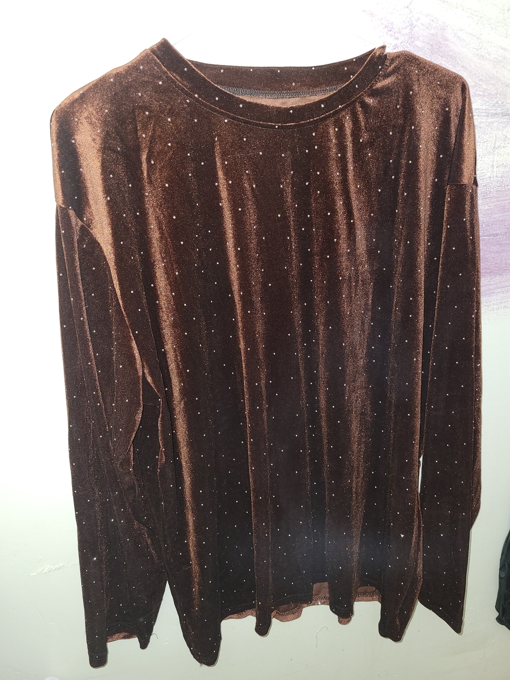 Women's Brown Velvet Long-Sleeve Blouse with Subtle Stud Detail